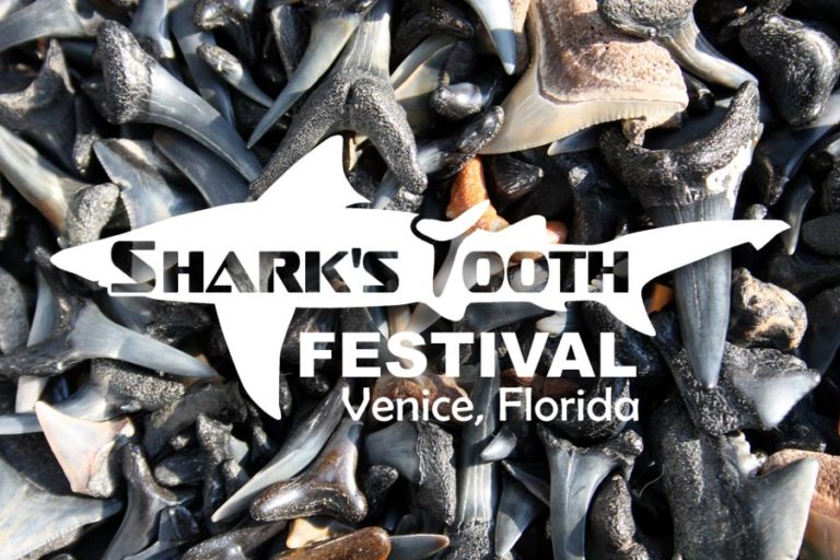 Shark Tooth Capital of the World Venice, Florida